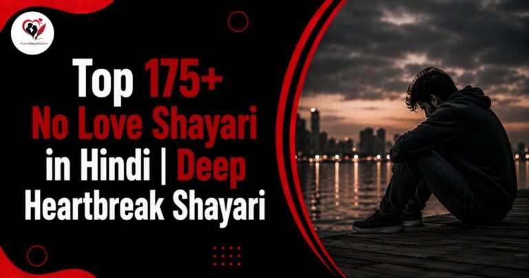 No Love Shayari
